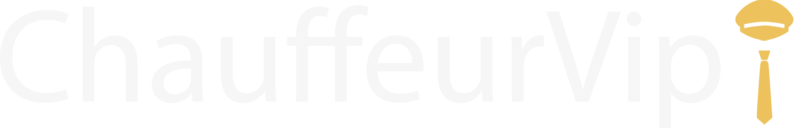 ChauffeurVip logo