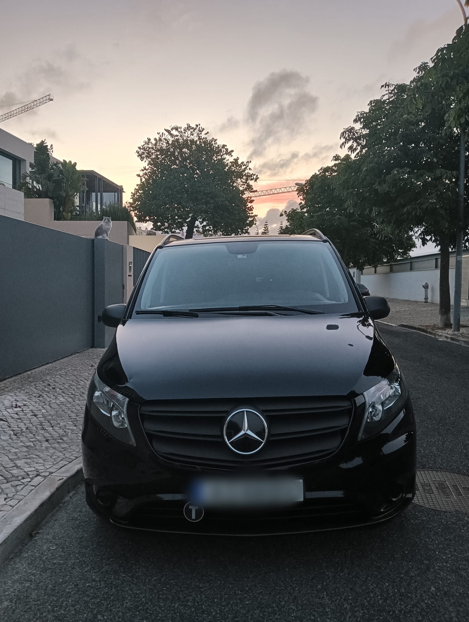 Mercedes V-Class